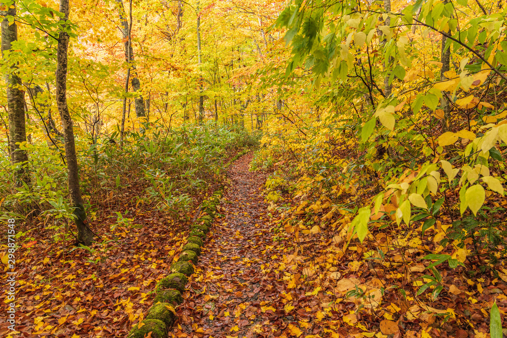 Towada Hachimantai National Park in autumn Towada Hachimantai National Park in autumn