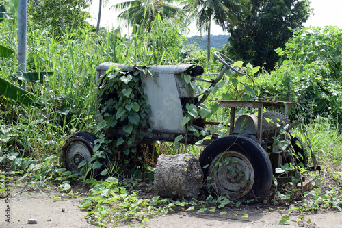 Wasted dilapidated rustic old farm tractor covered by vegetation left on the vicinity of agricultural college campus
