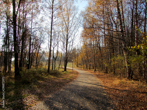 The road to the river. Autumn park.