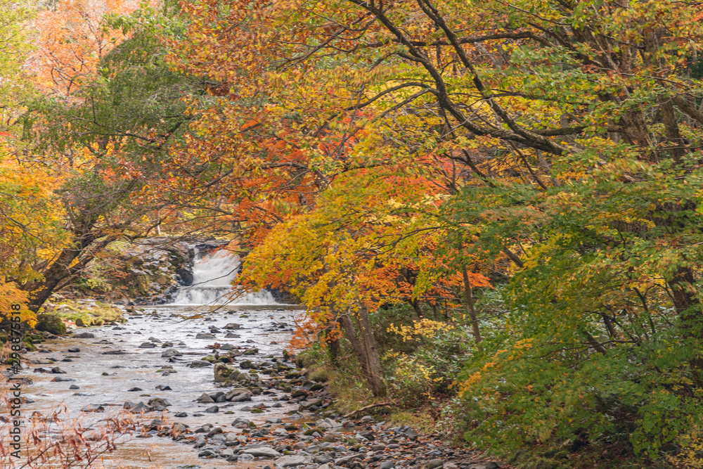 Towada Hachimantai National Park in autumn Towada Hachimantai National Park in autumn
