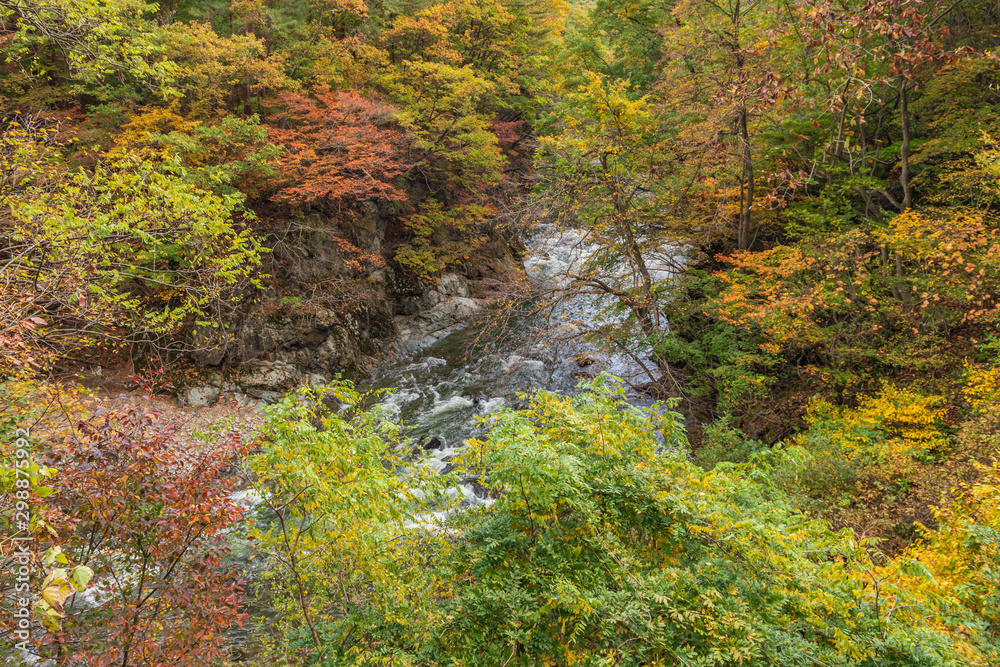 Towada Hachimantai National Park in autumn Towada Hachimantai National Park in autumn