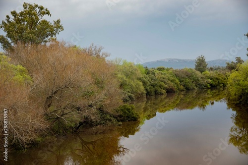 lake in forest