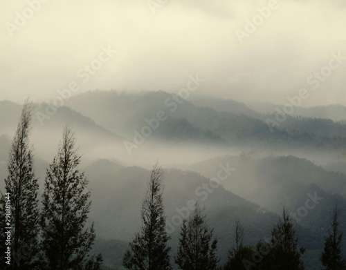 Mountain range and pine trees with morning fog on a winter day. © nunawwoofy