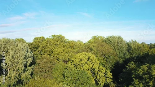 Aerial view of the city of Lille from the green citadel park