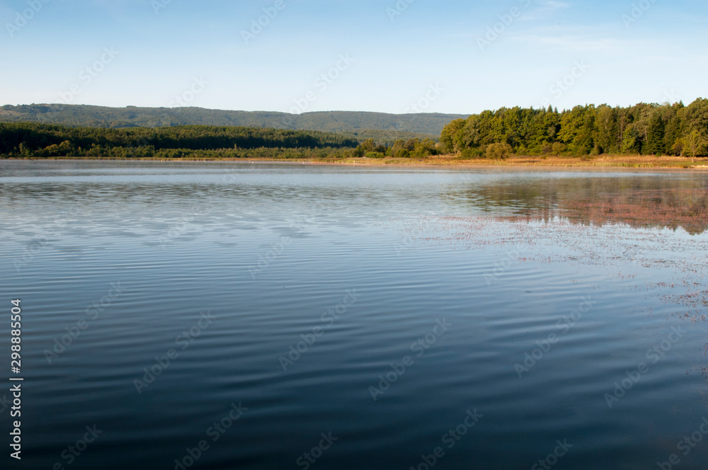 lake in forest in autumn with forest in the background
