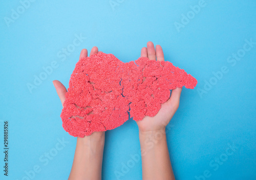 Hands holding a human liver from plasticine on a blue background. The concept of a healthy liver transplant. Donation photo