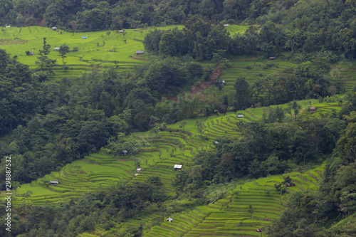 settlements around a large area of green rice fields in the mountains.