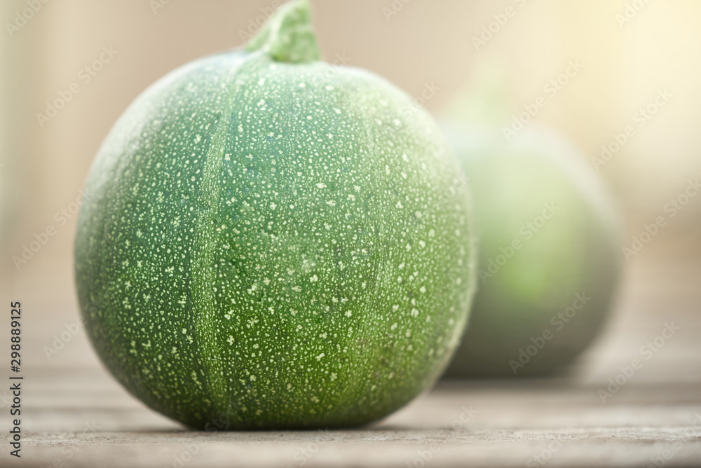 Small green zucchini illuminated by sunlight on the background of vegetable marrow in a blur. Small green zucchini illuminated by sunlight on the background of vegetable marrow in a blur.