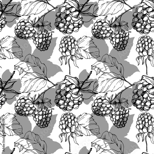 Vector Blackberry healthy food. Black and white engraved ink art. Seamless background pattern.