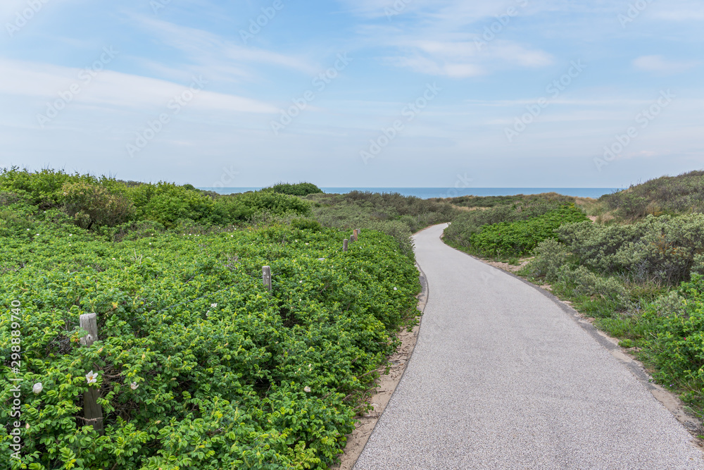 Wanderweg durch einen Dünenpark – Niederlande, Den Haag
