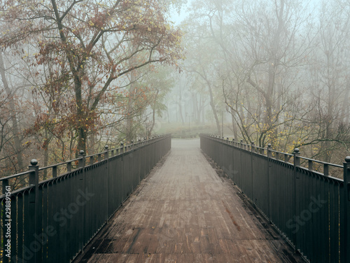 foot bridge in the fog in the fall. Gomel, Belarus © makam1969