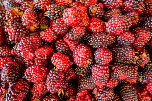 Ecuadorian blackberry, known as mora, at a public market in Ibarra, Ecuador.  High in antioxidants nutritious healthy berry fruit.