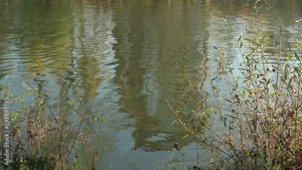 Reflection of the buildings on the water surface of the city lake, background Reflection of the buildings on the water surface of the city lake, background