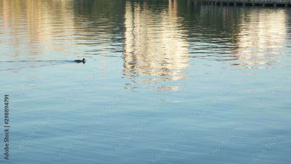 Reflection of the buildings on the water surface of the city lake, background Reflection of the buildings on the water surface of the city lake, background