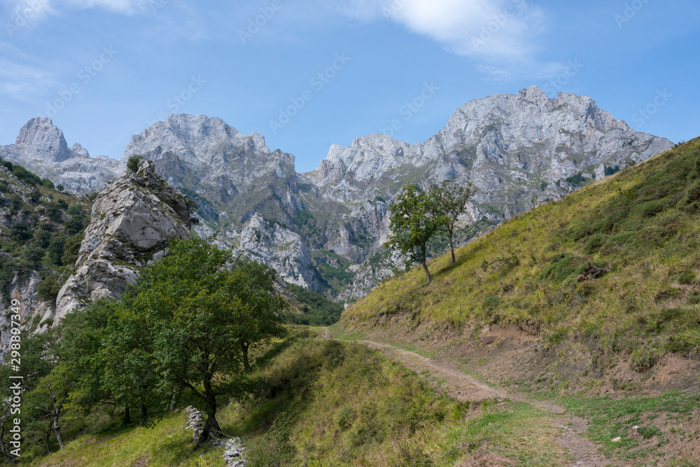 Mountain area overlooking the natural park of the Picos de Europa