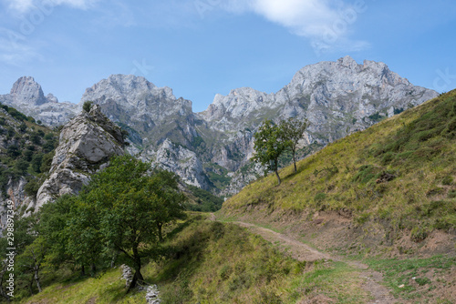 Mountain area overlooking the natural park of the Picos de Europa