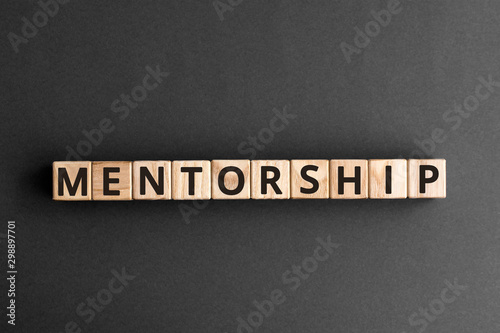Mentorship - word from wooden blocks with letters, mentoring mentorship concept,  top view on grey background