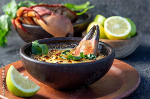  CHILEAN FOOD.  Baked crabmeat crab meat with cheese, cream and bread.  Traditional dish of chilean coast. Pastel o chupe de jaiba. photo