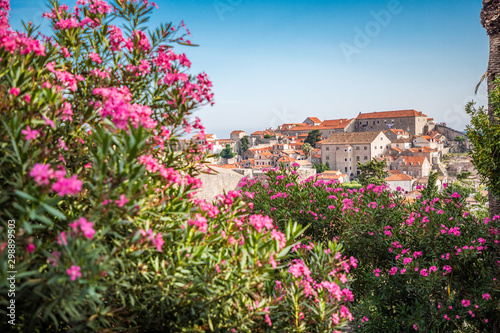 Dubrovnik  Croatia - July  2019  Old town and harbor of Dubrovnik Croatia