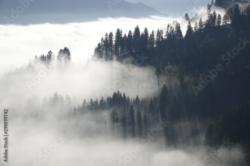 a misty valley in the morning with sun on the mountain © Chamois huntress