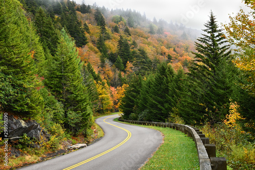 Fotografija Autumn Color on Blue RIdge Parkway in North Carolina, USA.