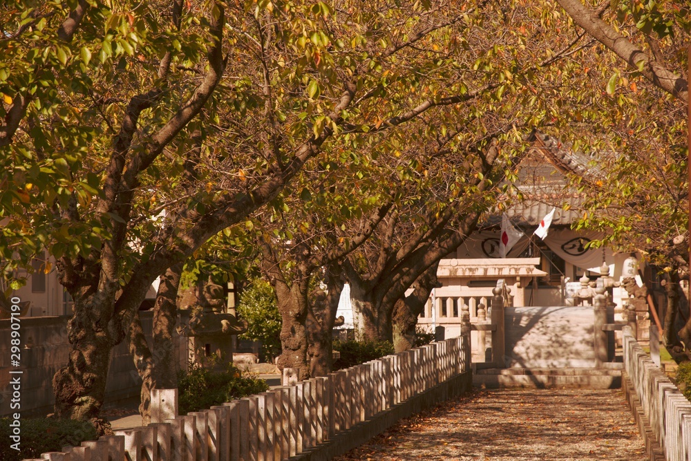 Naklejka premium 令和