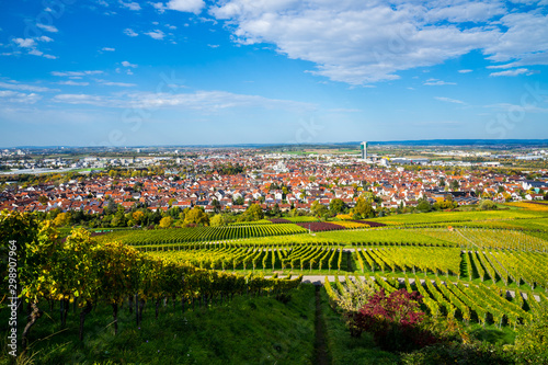 Germany, View over skyline, roofs, houses and tower of city fellbach near stuttgart from above in autumn season