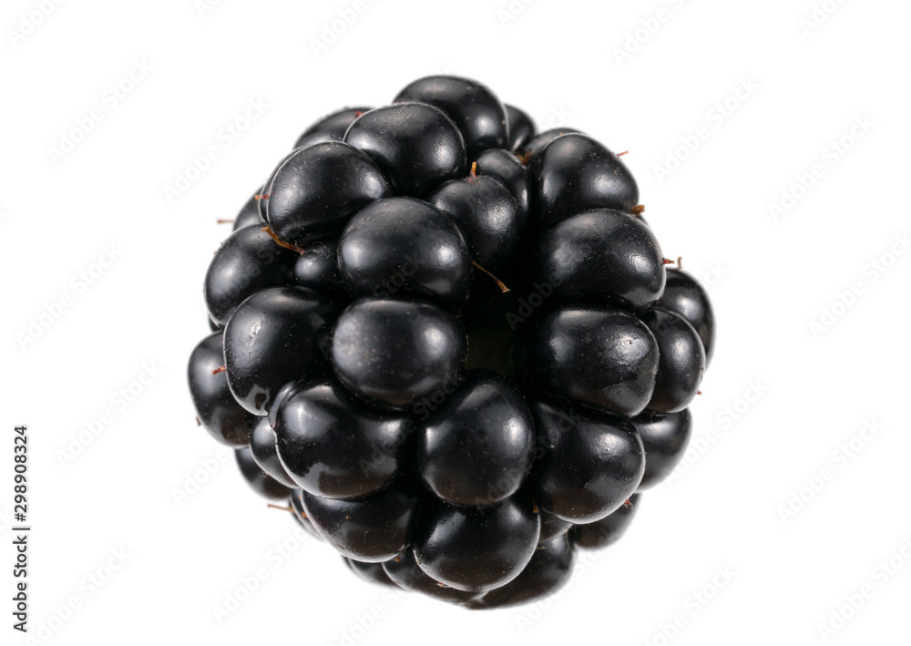 Side view on one shiny natural juicy blackberry on white background. Close-up side view on one reshly harvested isolated black shiny blackberry, food, fruit Side view on one shiny natural juicy blackberry on white background. Close-up side view on one reshly harvested isolated black shiny blackberry, food, fruit