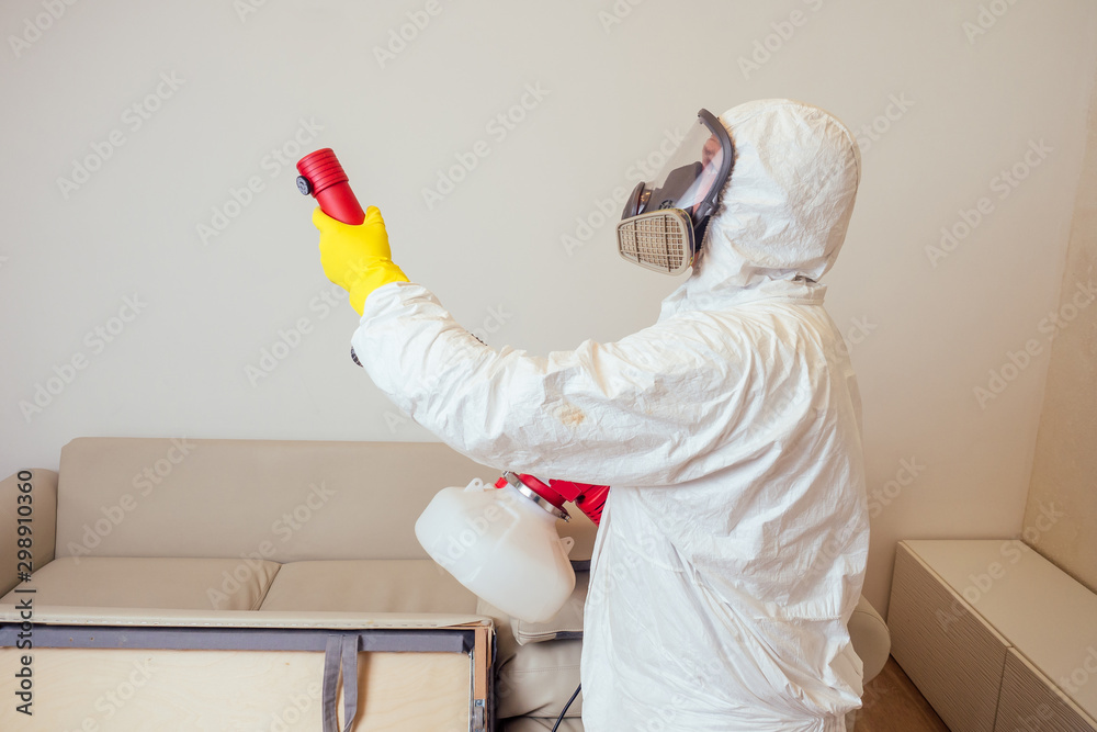 pest control worker in uniform spraying pesticides under couch in living lounge room pest control worker in uniform spraying pesticides under couch in living lounge room