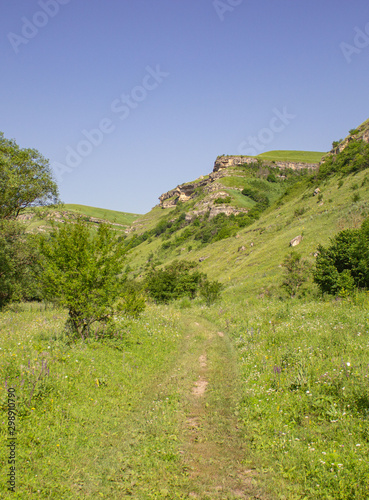 landscape in the mountains