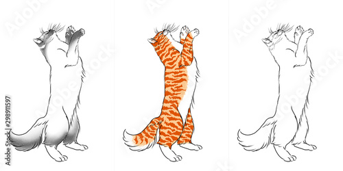 Three cats standing on the back paws: a seal point one, a red one and a white one