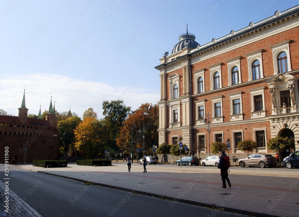 old building of Academy of Fine Arts in Krakow