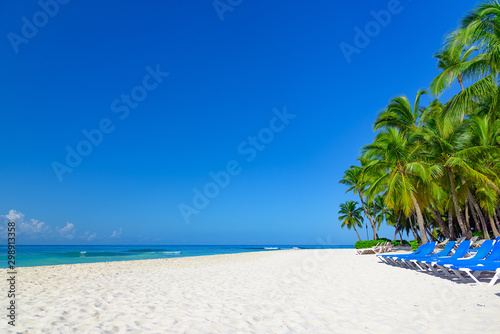 Fototapeta Naklejka Na Ścianę i Meble -  palm beach chaise longue