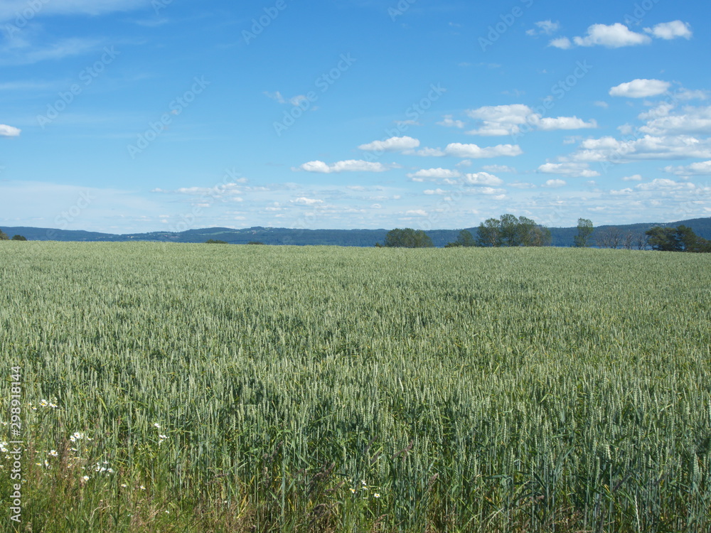 Wiew of the swedish island Visingsö.