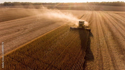 Billede på lærred Farmer harvesting soybeans in Midwest