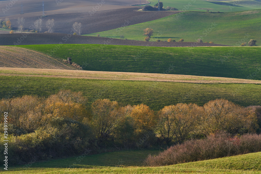 Landscape panoramatic picture of fields, meadows, bushes and trees in sunny autumn evening in Slovakia, by city Martin, between Mala and Velka Fatra mountain range. Wawes in agricultural countryside.