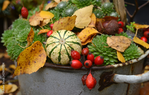 Seasonal deco with vegetation, pumpkin, red fruits in a vintage design and autumn leaves