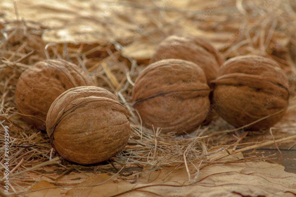 Closeup ripe walnuts on a wooden table against the background of dry hay and oak leaves with selective focus. Closeup ripe walnuts on a wooden table against the background of dry hay and oak leaves with selective focus.