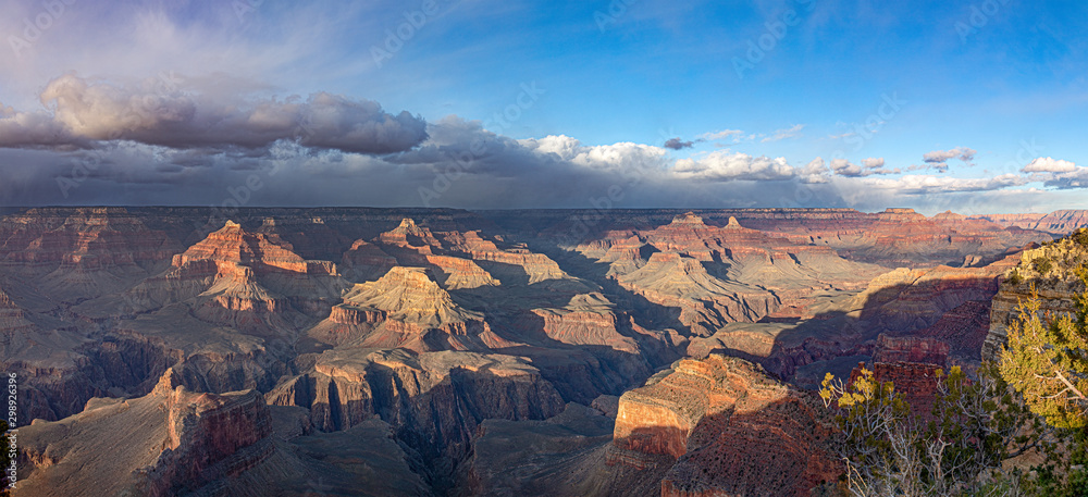 scenic panorama of grand canyon