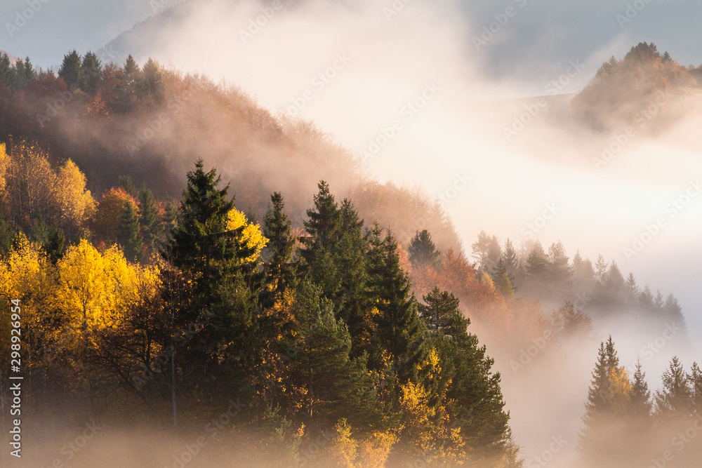 Autumn landscape, foggy morning in the region of Orava, Slovakia, Europe. Autumn landscape, foggy morning in the region of Orava, Slovakia, Europe.