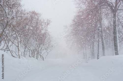 Winter Christmas scenic background. Spruce branches covered with snow close-up, snowdrifts and falling snow on nature outdoors.