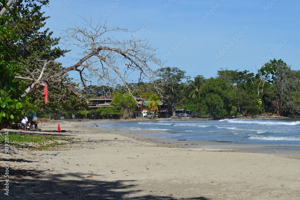 Fototapeta premium parque national cahuita