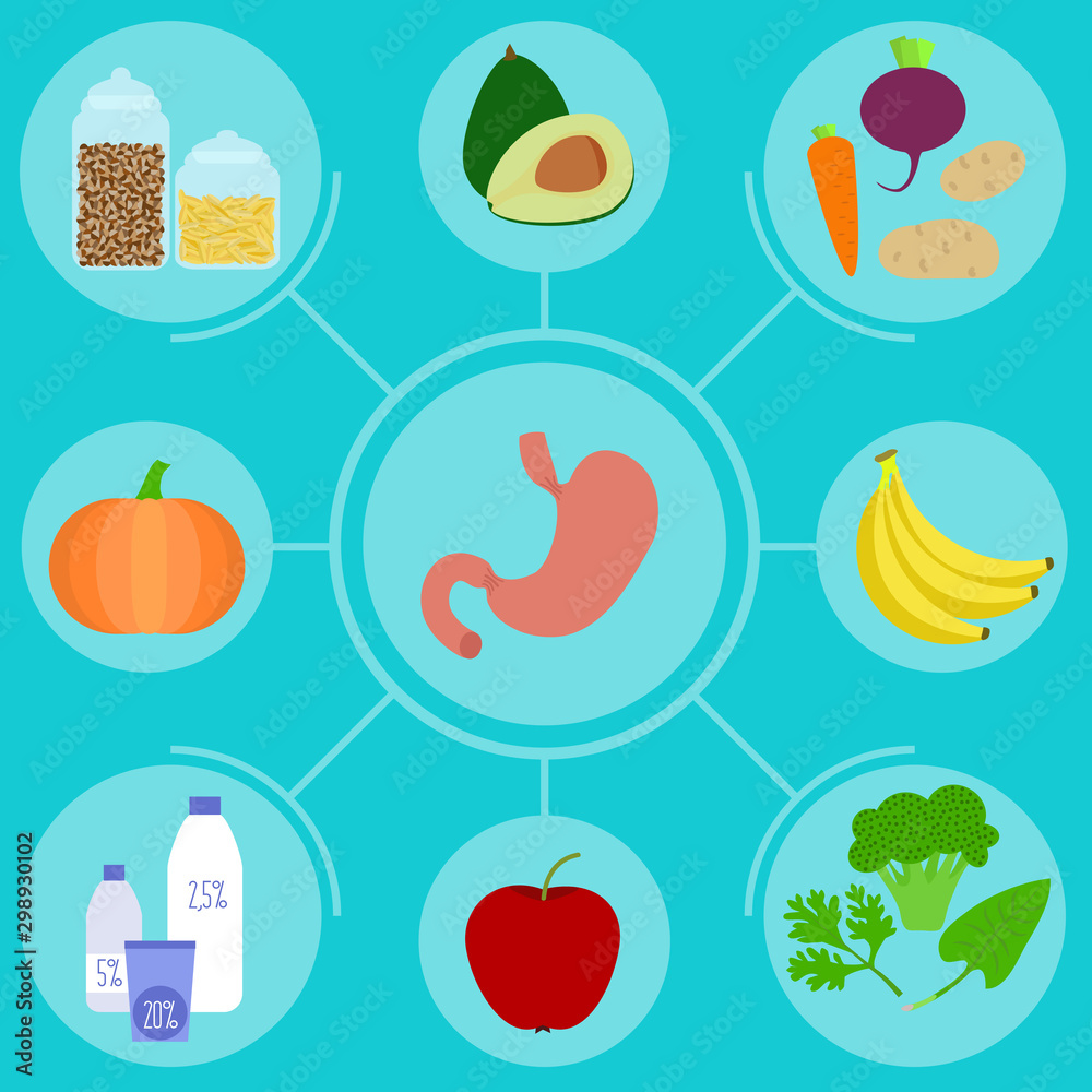 Infographics of food for helpful for healthy stomach. Nutrition advice for healthy lifestyle.