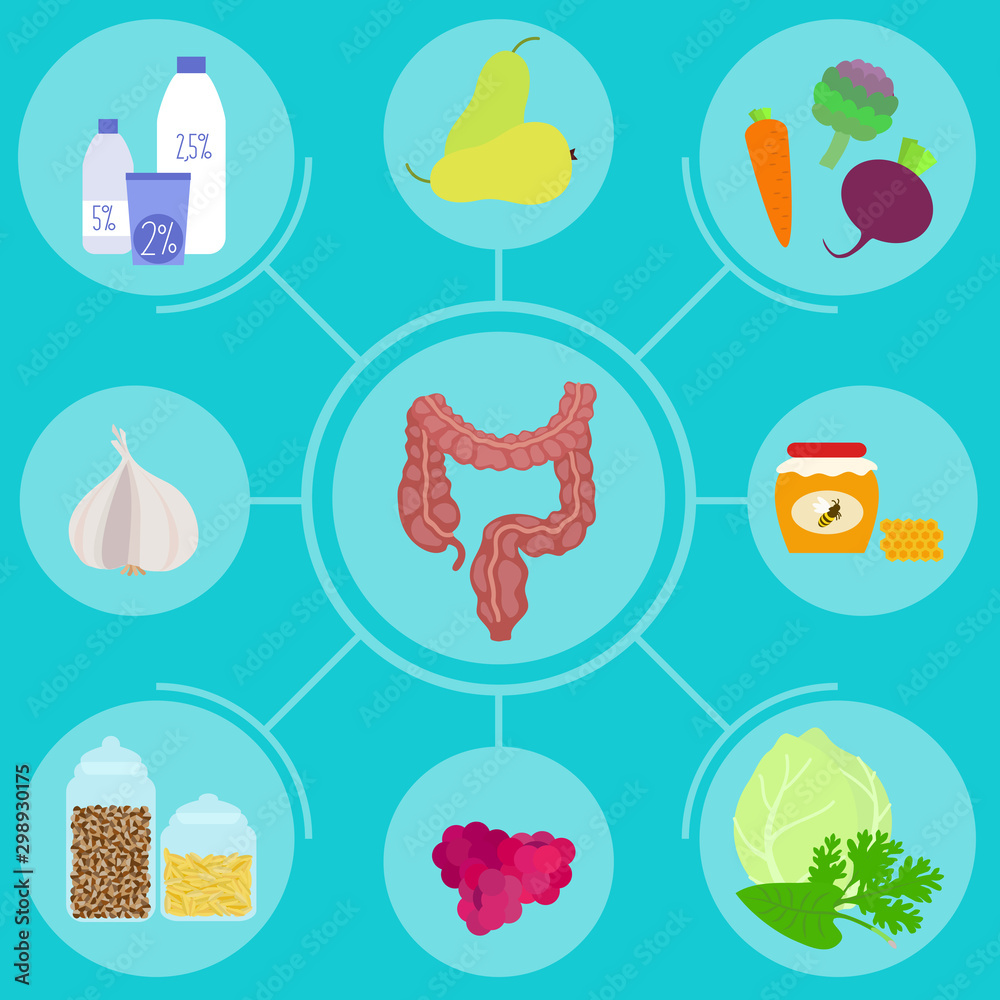 Infographics of food for helpful for healthy colon. Nutrition advice for healthy lifestyle.