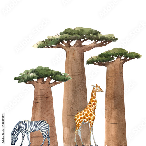 Canvastavla Watercolor baobab adansonia african tree illustrationswith zebra and giraffe