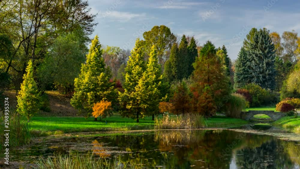 Autumn landscape in the city park. Autumn landscape in the city park.