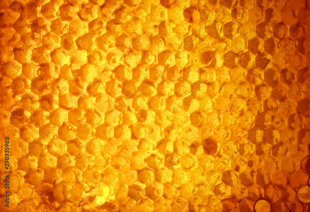 background of honeycomb texture filled with sweet sticky Golden honey glow in the sun