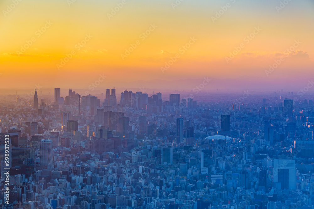 Fototapeta premium Tokyo Aerial Cityscape Sunset View
