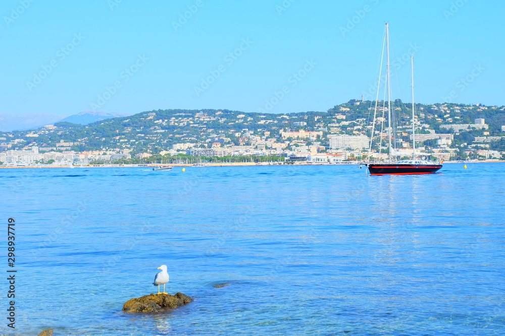 Obraz premium View to Cannes from Sainte Marguerite island, France
