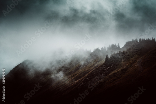Moody mountain landscape with mist and fog © XtravaganT